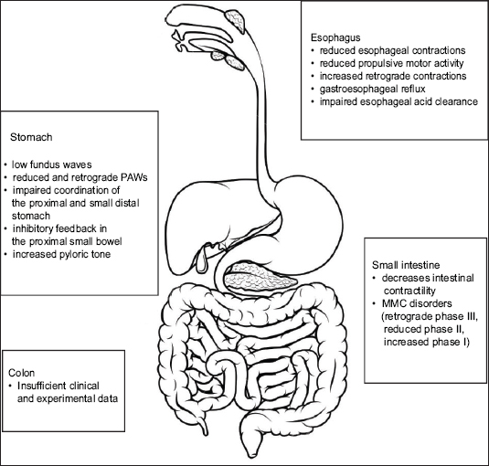 Gastrointestinal Myoelectrical Activity in Idiopathic Intestinal  Pseudo-Obstruction