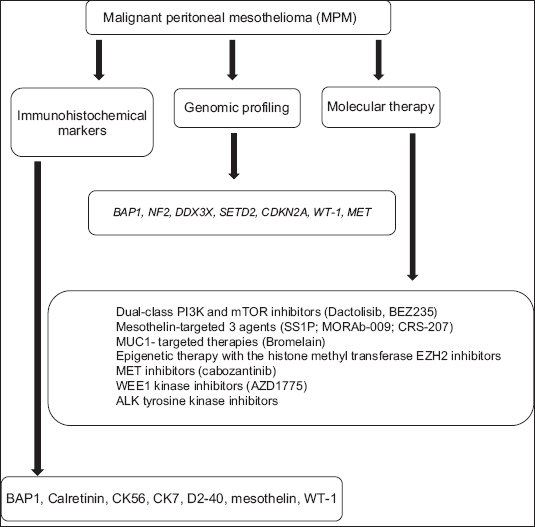 View Of Malignant Peritoneal Mesothelioma Clinical Aspects And Therapeutic Perspectives Annals Of Gastroenterology